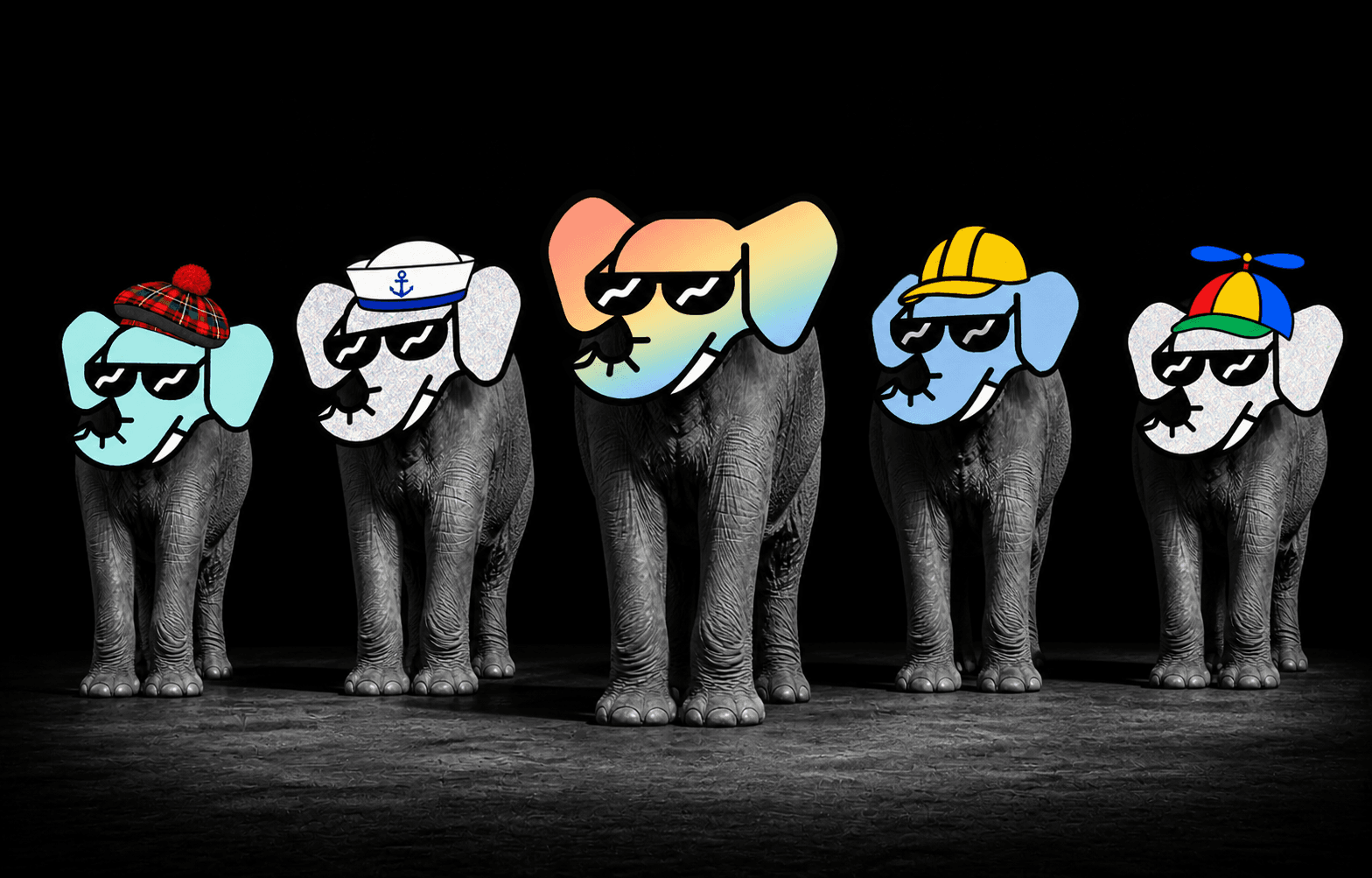 Five real black and white elephants with distinct full color Wally NFT heads, led by Rainbow Wally