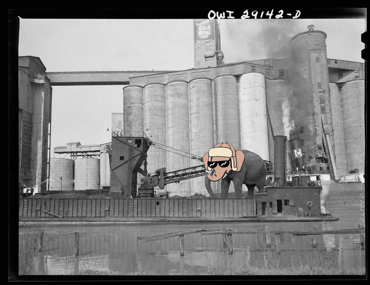 A real elephant with a full color winter hat Wally NFT head beside grain elevators in 1943