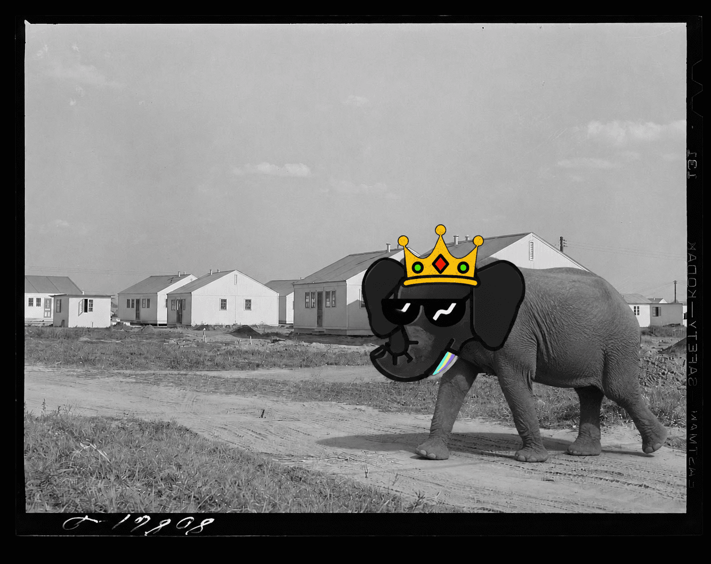 A real elephant with a full color crowned Wally NFT head near prefabricated housing in 1941