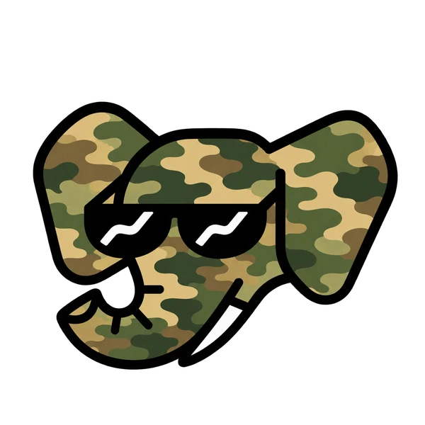 Camouflage: Camouflage, special headwear